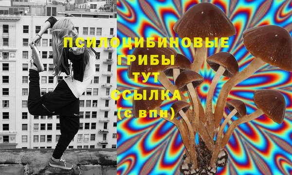 первитин Алексеевка