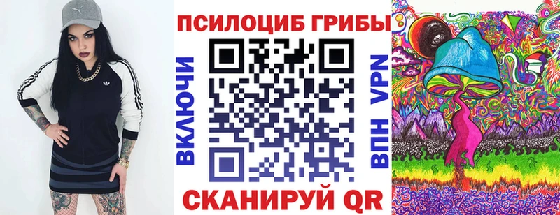 Псилоцибиновые грибы Cubensis  Арзамас 
